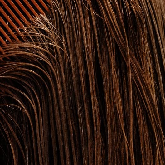Fall Color at Zen Marie Hair & Beauty in Tallahassee, FL